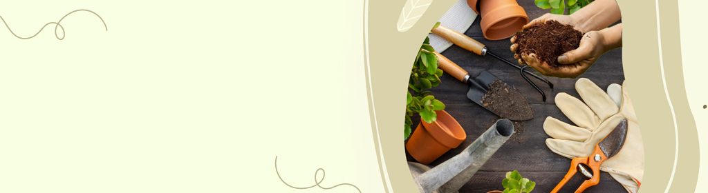 Plant Care