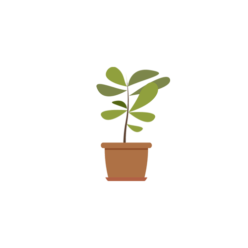 Plant Care