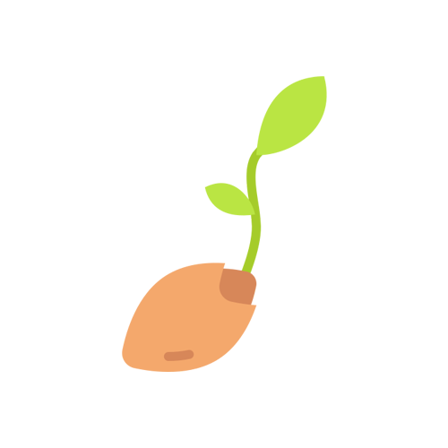 Seeds