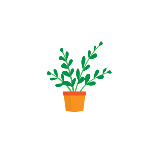 Spices Plants