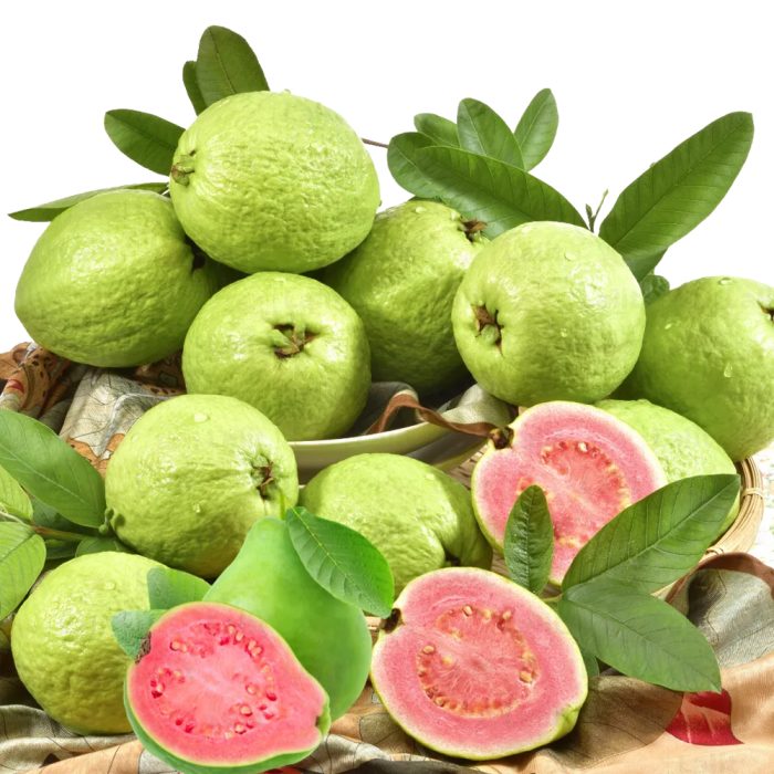 Lalit Guava / లలిత జామ(Grafted) - Image 5