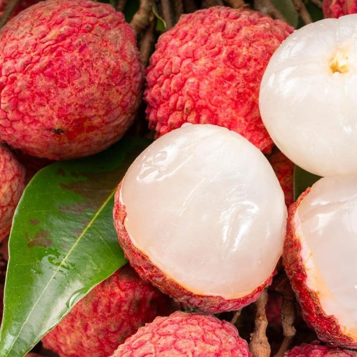Litchi Fruit Plant - Image 5
