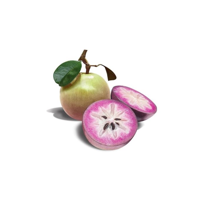 Milk fruit - Image 4