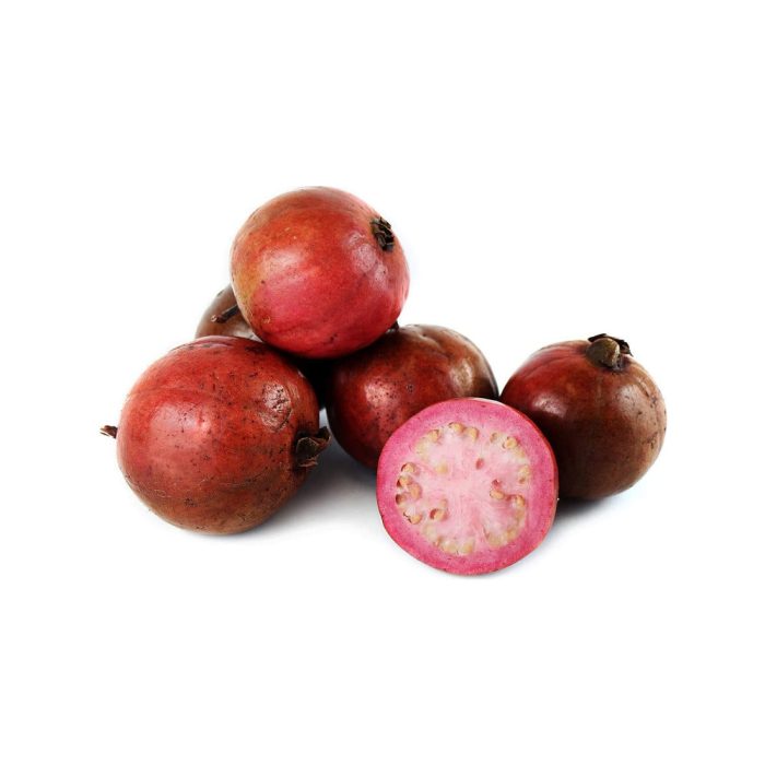 Strawberry Guava / స్ట్రాబెర్రీ జామ(Grafted) - Image 4