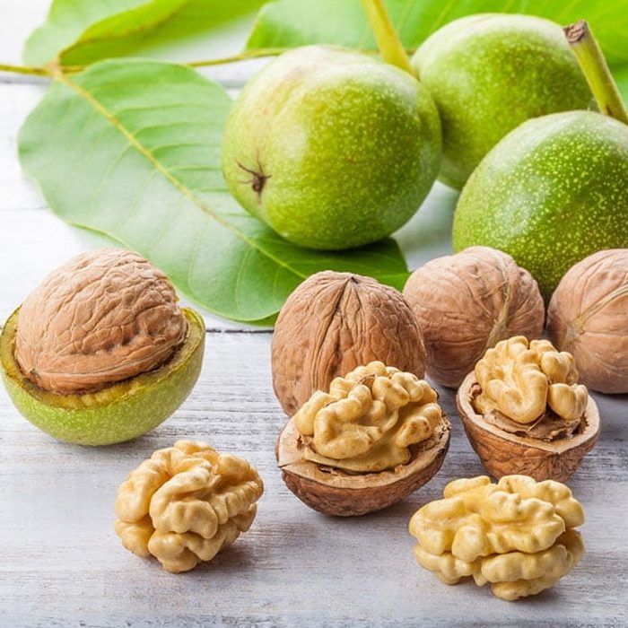 Walnut - Image 5