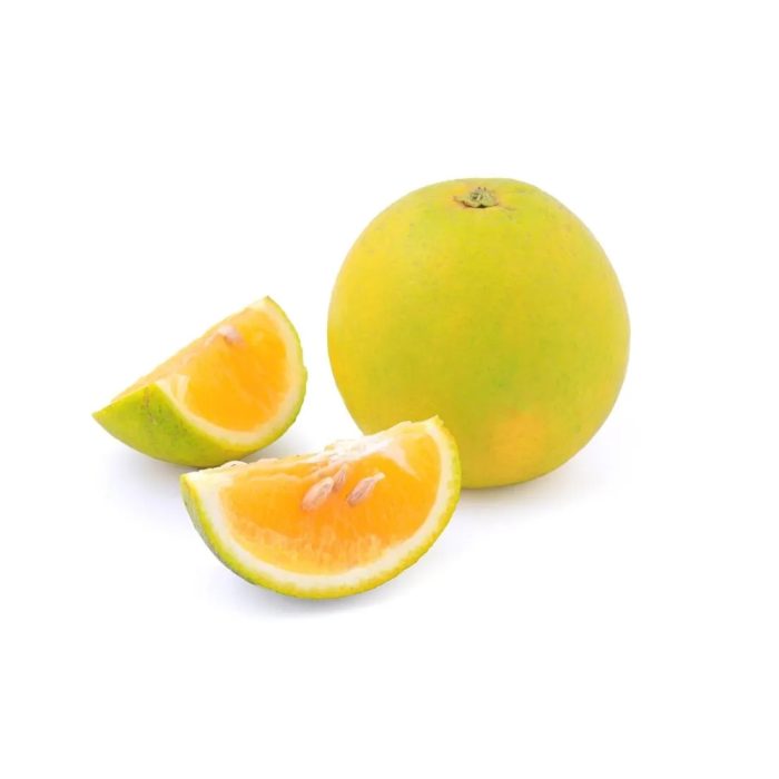 Yellow Mosambi - Image 5