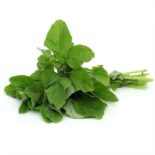 Green Ameranthas ( Thotakura )