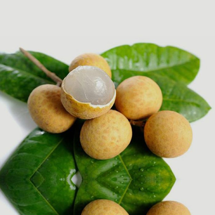 Logon fruit - Image 5