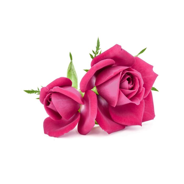 Natu Rose pink - Image 4