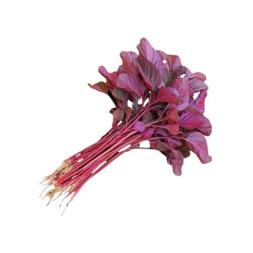 Red Ameranthas ( Red Thotakura )