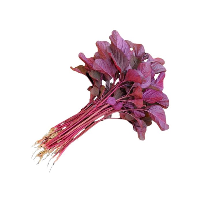Red Ameranthas ( Red Thotakura )