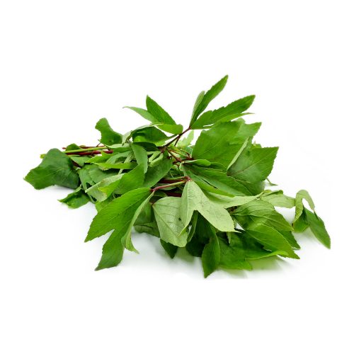 Sorual Leaf ( Green Gongura )